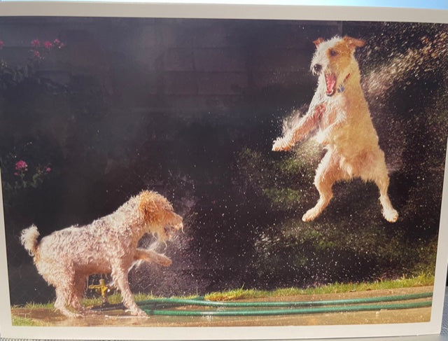 Happy Birthday Card