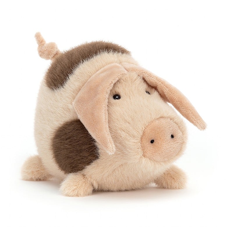Higgledy Piggledy Old Spot Pig