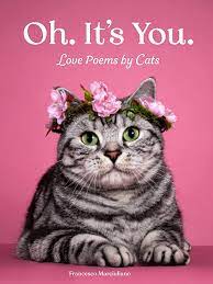 Oh. It's You. Love Poems By Cats
