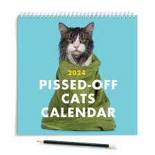 2024 Pissed Off Cats Calendar